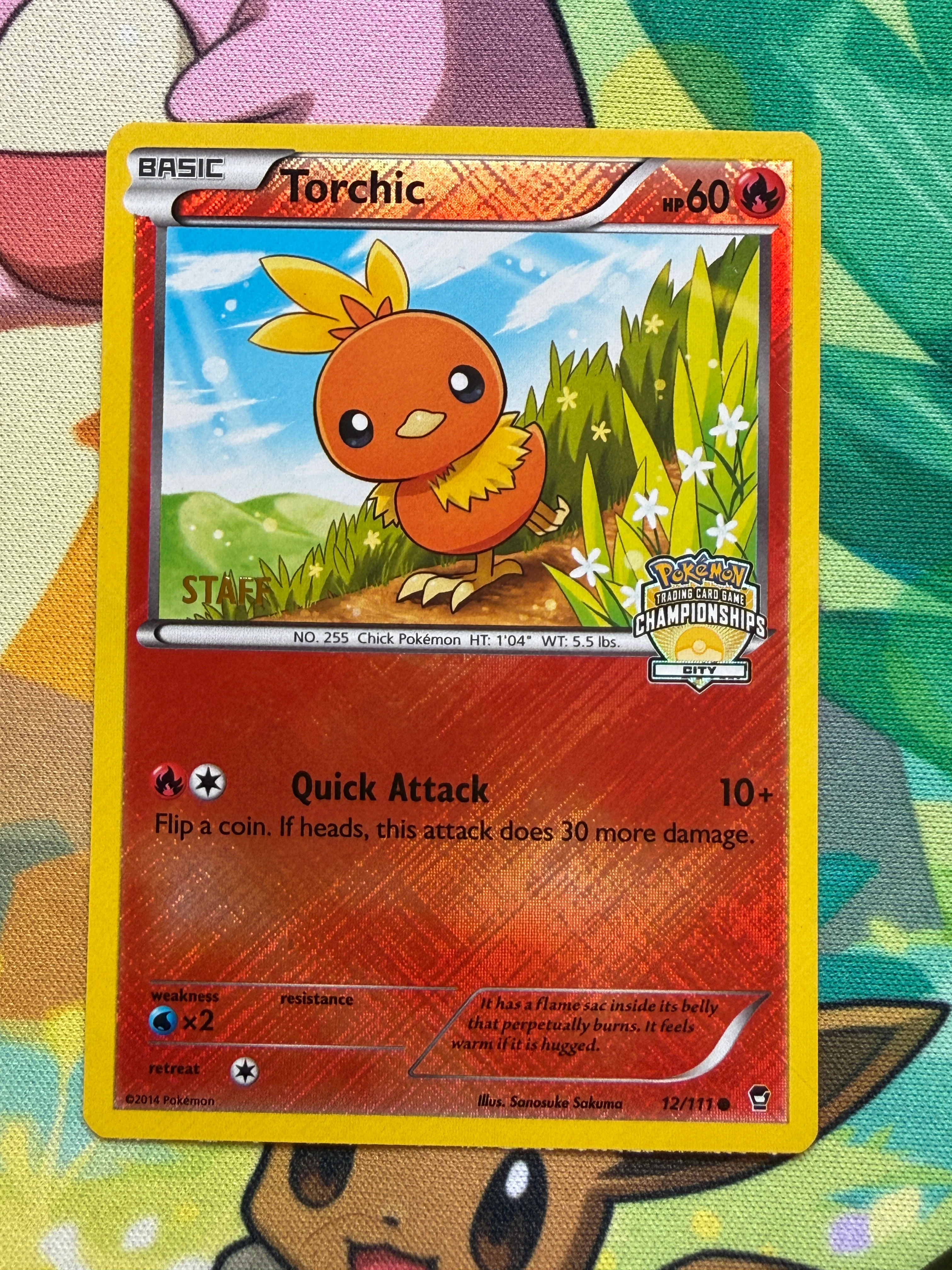 XY Collection