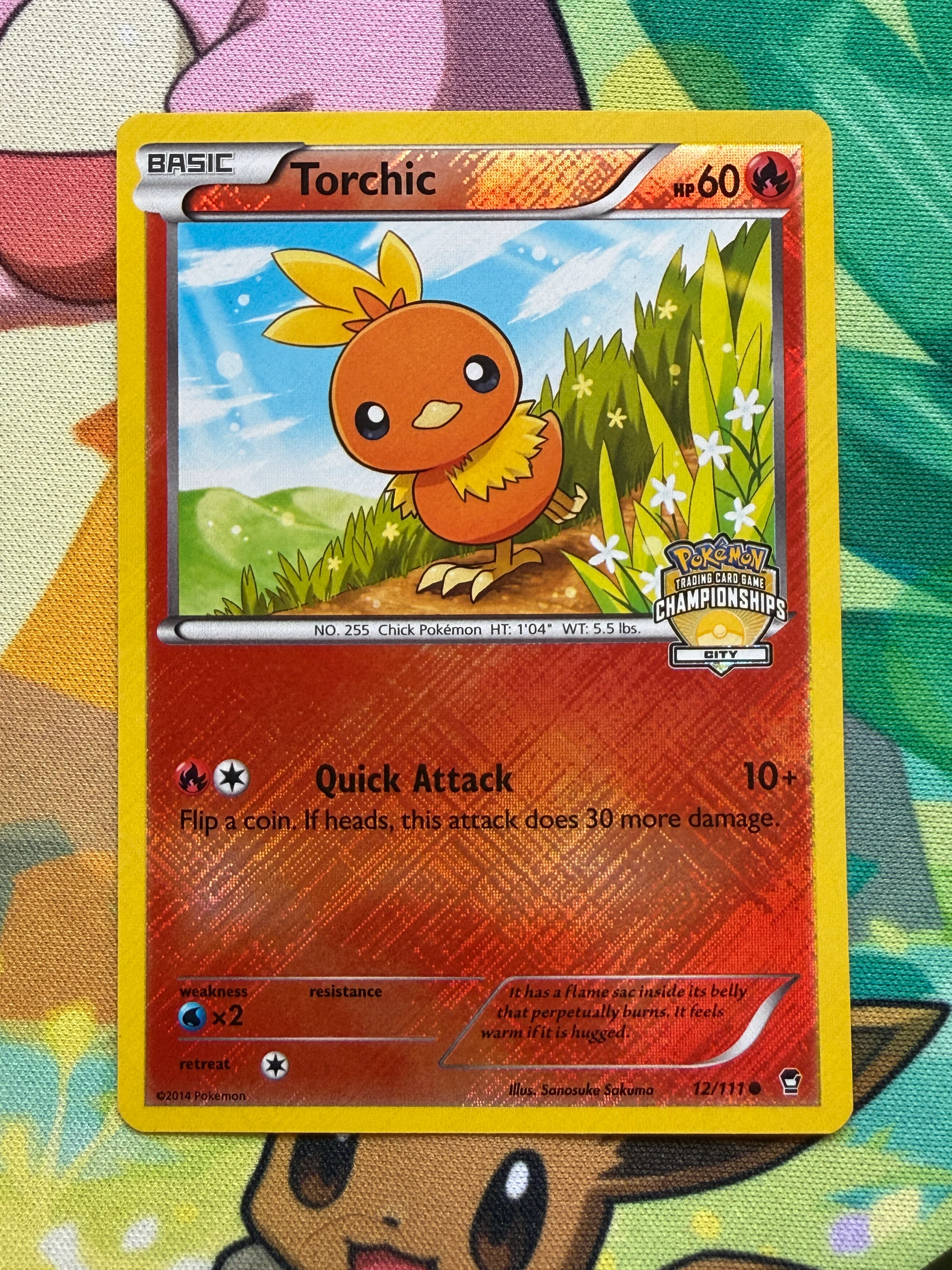 Pokemon